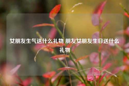 女朋友生气送什么礼物 朋友女朋友生日送什么礼物