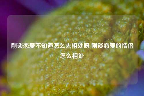 刚谈恋爱不知道怎么去相处呀 刚谈恋爱的情侣怎么相处