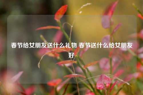 春节给女朋友送什么礼物 春节送什么给女朋友好