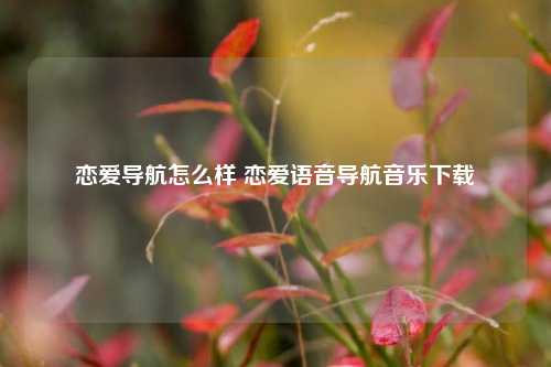 恋爱导航怎么样 恋爱语音导航音乐下载