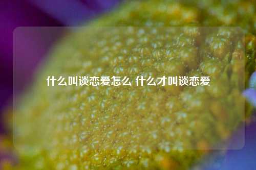 什么叫谈恋爱怎么 什么才叫谈恋爱