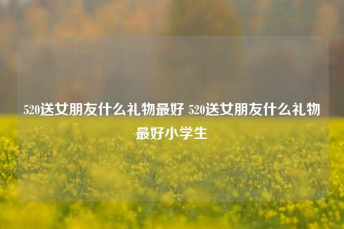 520送女朋友什么礼物最好 520送女朋友什么礼物最好小学生