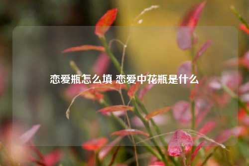 恋爱瓶怎么填 恋爱中花瓶是什么