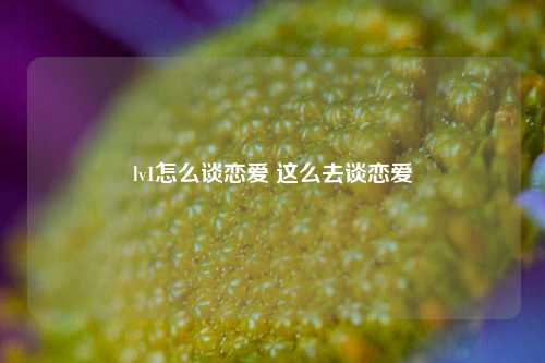 lv1怎么谈恋爱 这么去谈恋爱