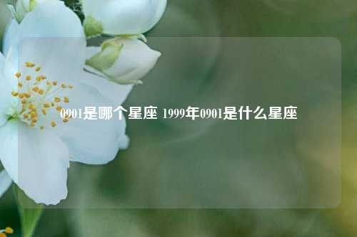 0901是哪个星座 1999年0901是什么星座