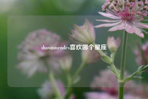 shawnmendes喜欢哪个星座