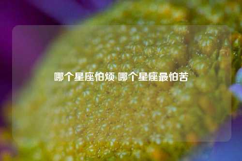 哪个星座怕烦 哪个星座最怕苦