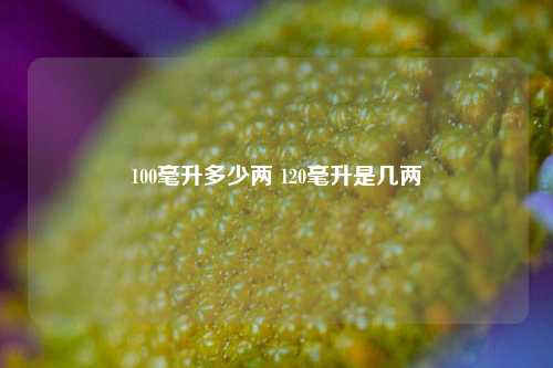 100毫升多少两 120毫升是几两