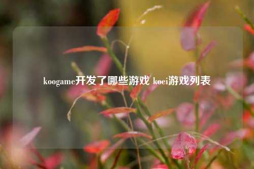 koogame开发了哪些游戏 koei游戏列表