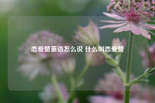 恋爱赞英语怎么说 什么叫恋爱赞