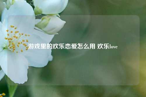 游戏里的欢乐恋爱怎么用 欢乐love