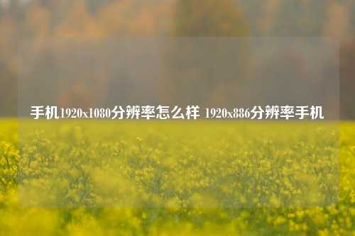 手机1920x1080分辨率怎么样 1920x886分辨率手机