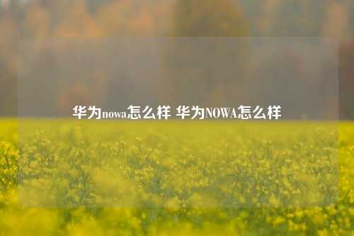 华为nowa怎么样 华为NOWA怎么样