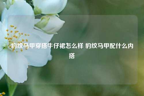 豹纹马甲穿搭牛仔裙怎么样 豹纹马甲配什么内搭