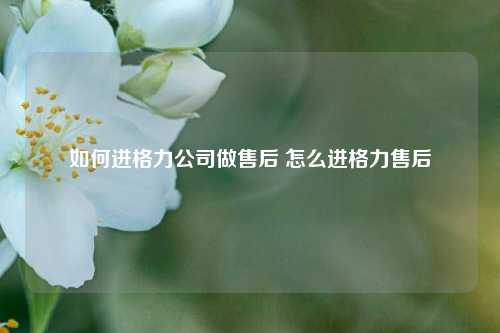 如何进格力公司做售后 怎么进格力售后