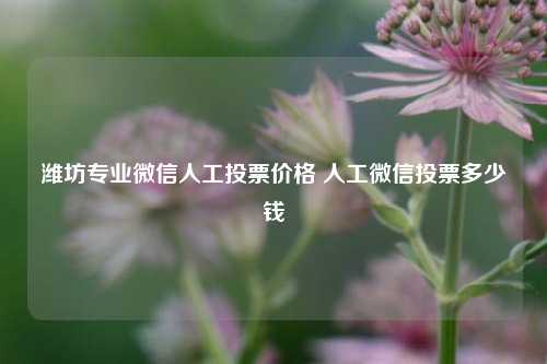 潍坊专业微信人工投票价格 人工微信投票多少钱