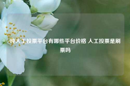 纯人工投票平台有哪些平台价格 人工投票是刷票吗