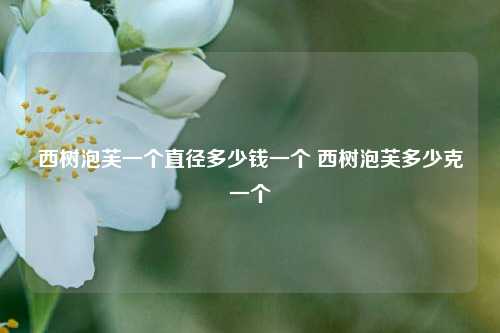 西树泡芙一个直径多少钱一个 西树泡芙多少克一个