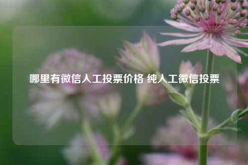 哪里有微信人工投票价格 纯人工微信投票