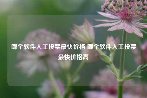 哪个软件人工投票最快价格 哪个软件人工投票最快价格高