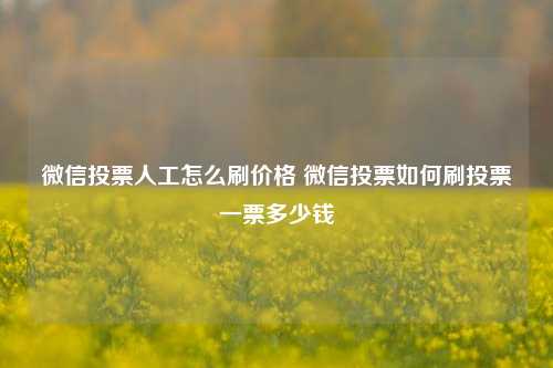 微信投票人工怎么刷价格 微信投票如何刷投票一票多少钱