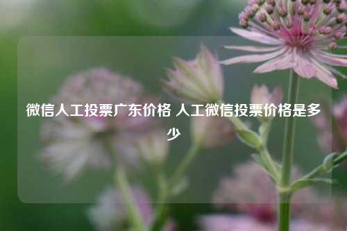 微信人工投票广东价格 人工微信投票价格是多少