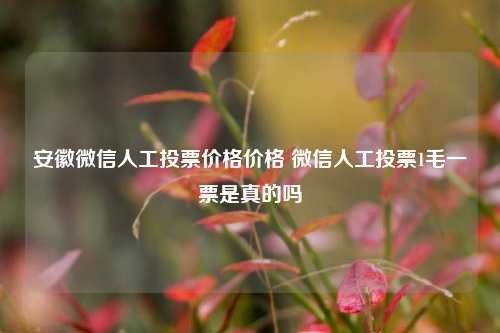 安徽微信人工投票价格价格 微信人工投票1毛一票是真的吗