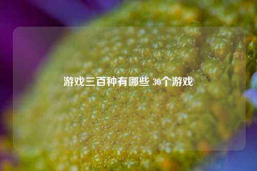 游戏三百种有哪些 30个游戏