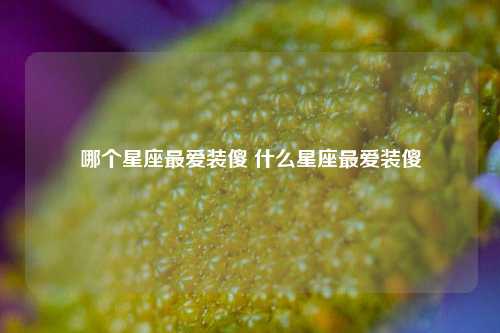 哪个星座最爱装傻 什么星座最爱装傻