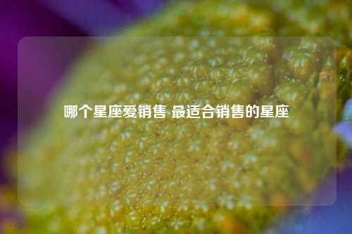 哪个星座爱销售 最适合销售的星座