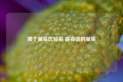 哪个星座比较寡 最寡淡的星座