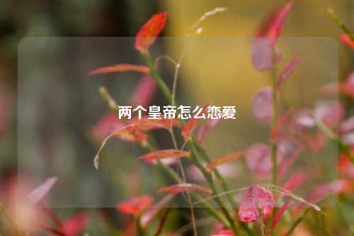 两个皇帝怎么恋爱