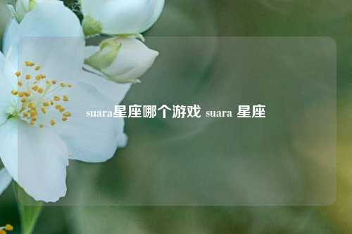 suara星座哪个游戏 suara 星座