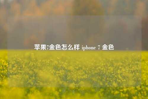 苹果7金色怎么样 iphone 7 金色