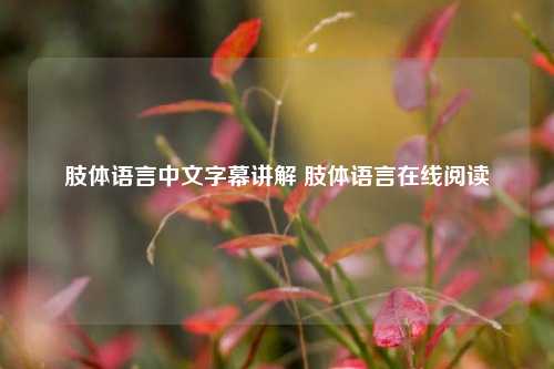 肢体语言中文字幕讲解 肢体语言在线阅读