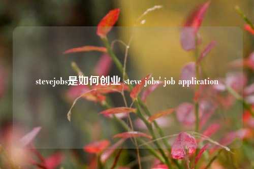 stevejobs是如何创业 steve jobs' job application