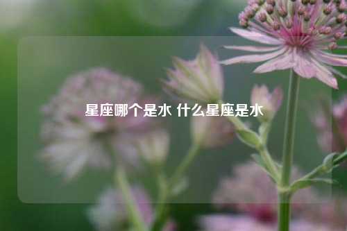 星座哪个是水 什么星座是水