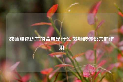 教师肢体语言的背景是什么 教师肢体语言的作用