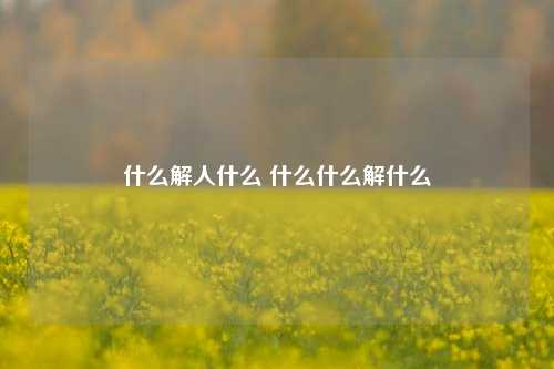 什么解人什么 什么什么解什么