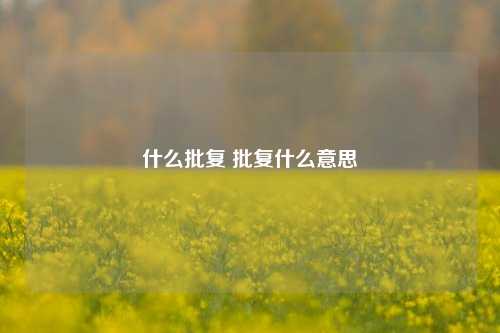 什么批复 批复什么意思