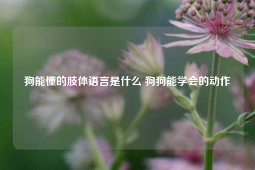 狗能懂的肢体语言是什么 狗狗能学会的动作